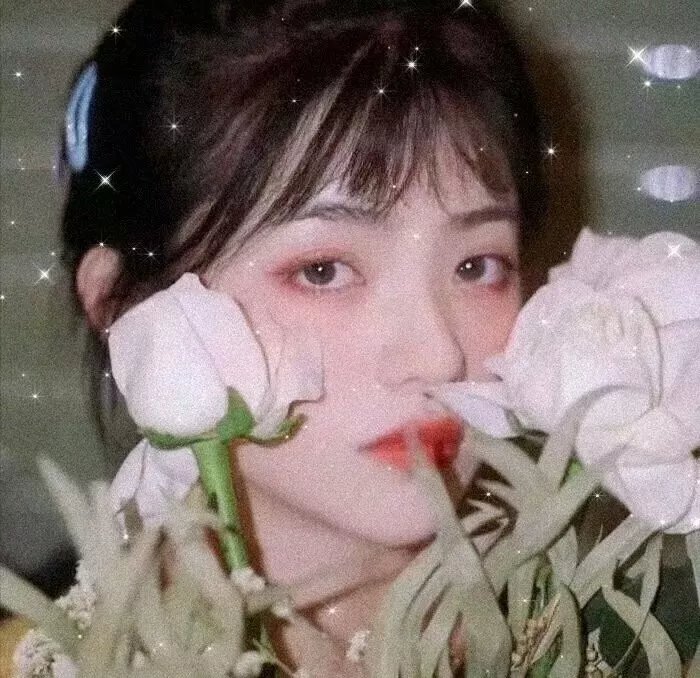 春中六日海报